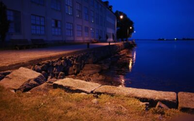 Tusenfotingen ger en spännande intrig